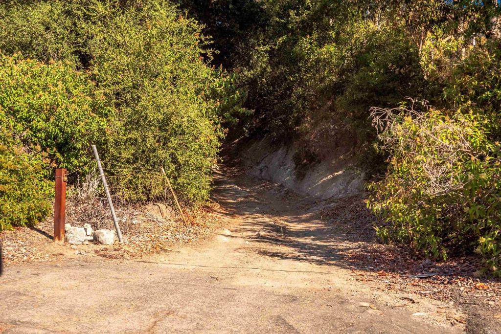 29 El Calamar Road - Photo 1