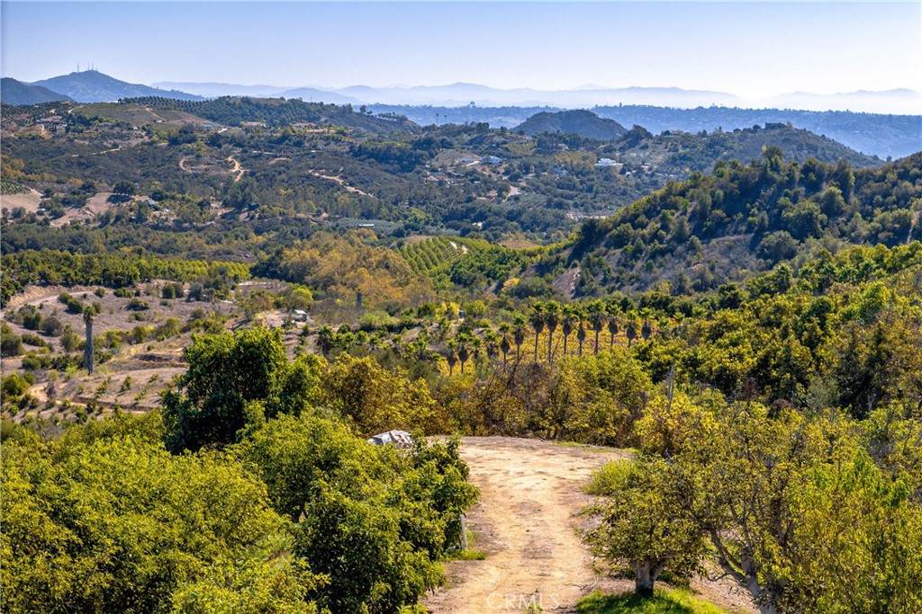 0 Camaron Road - Photo 1