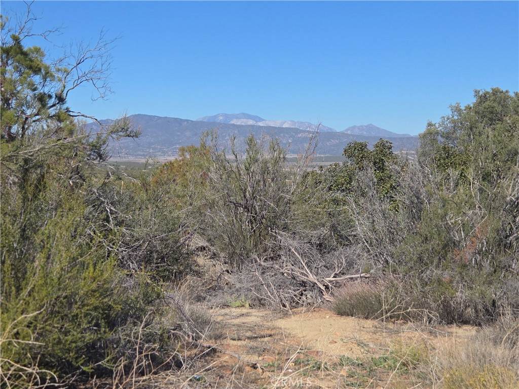 0 Taron Trail - Photo 1