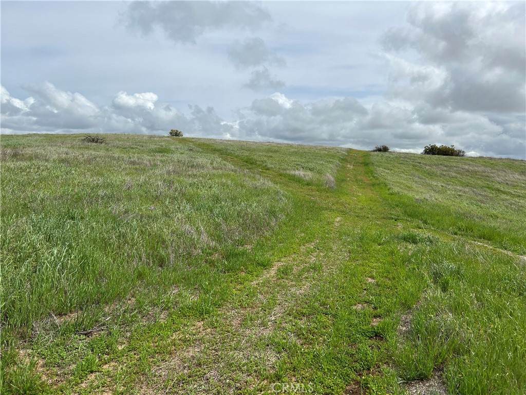 5160 Needs Road Name - Photo 1