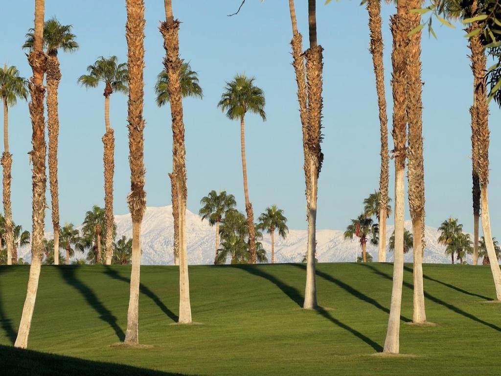 269 Vista Royale Circle - Photo 1