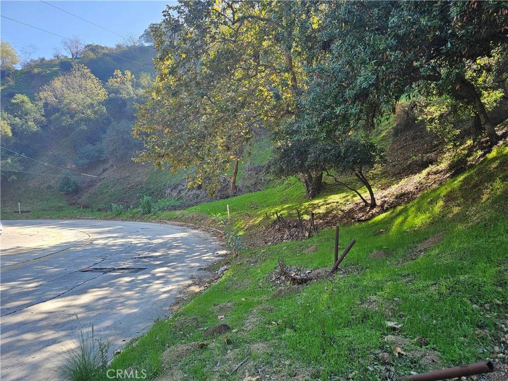 2161 Laurel Canyon Boulevard - Photo 1