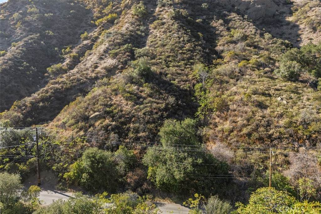 0 Ladd Canyon - Photo 1