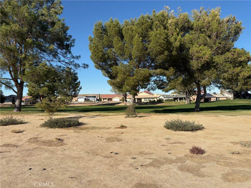 15114 Blue Grass - Photo 1