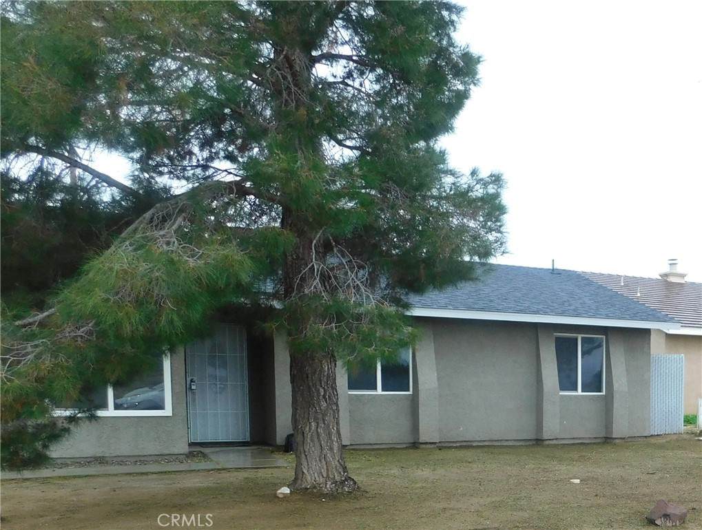 8260 Viburnum - Photo 1