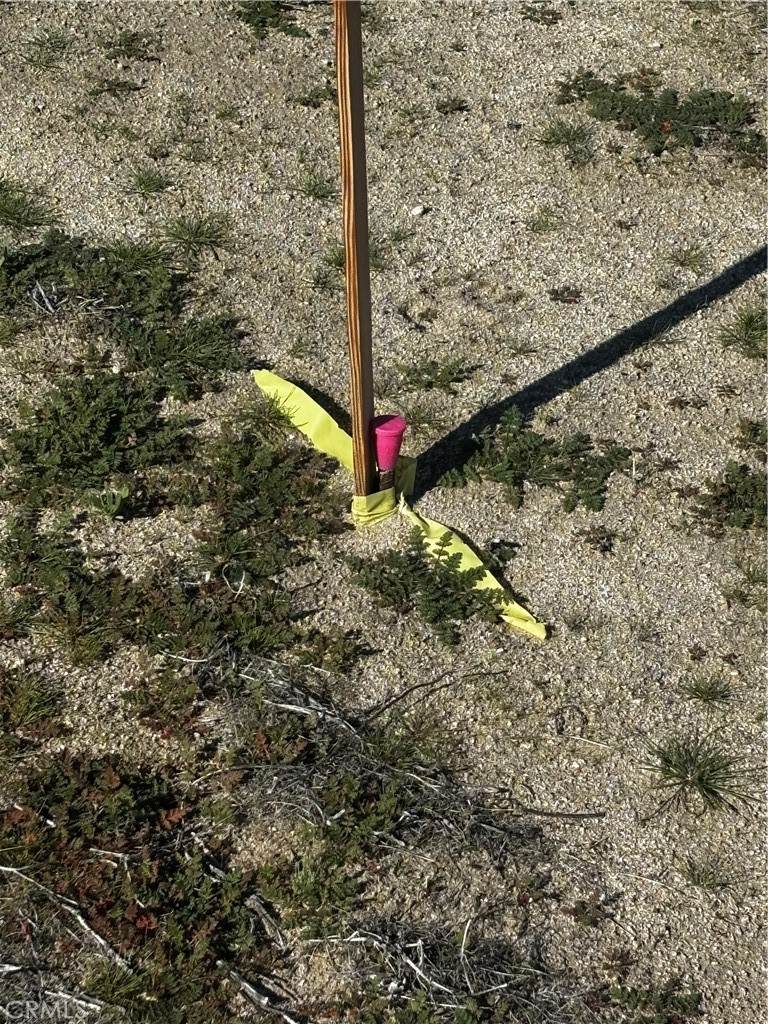 0 Vic Ave R6 225 Ste - Photo 1