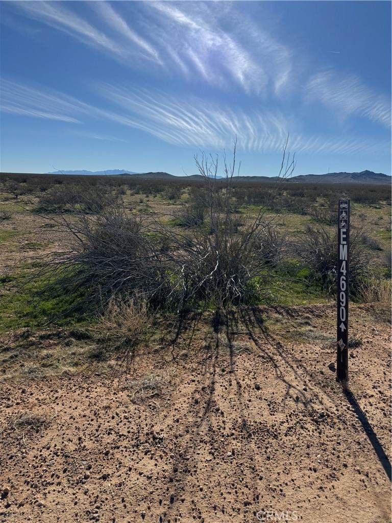 111 Buckthorne Canyon Road - Photo 1