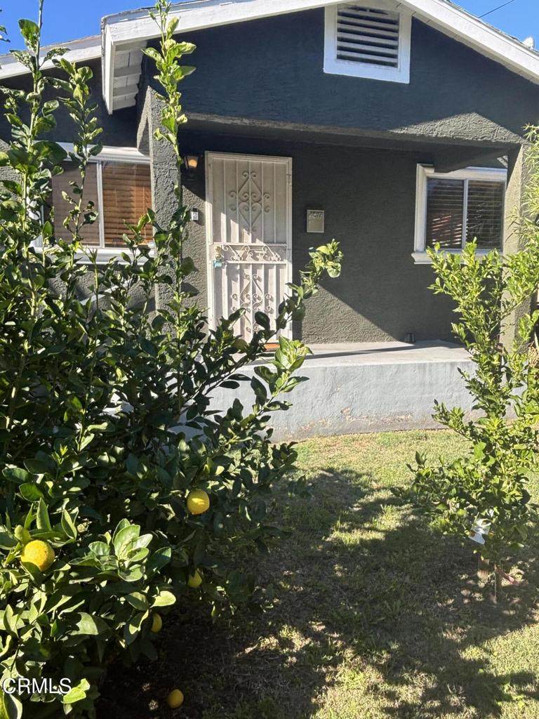 4517 Amber Place - Photo 1