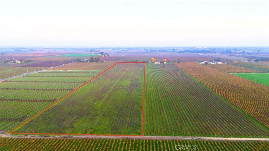 19217 Devries - Photo 1