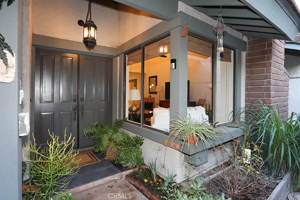 6561 Paseo Goya - Photo 1