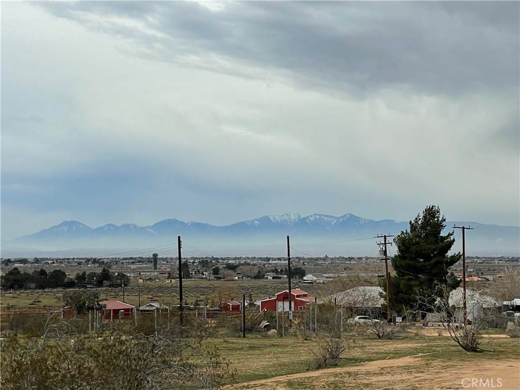 14423 Lynn - Photo 1