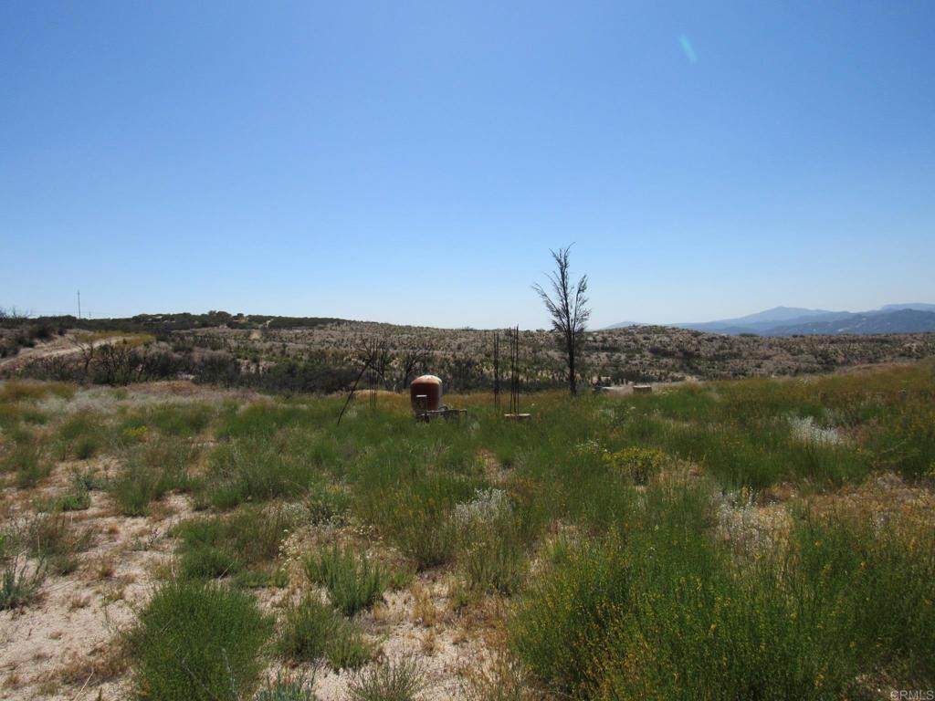 34679 Old Hwy 80 - Photo 1