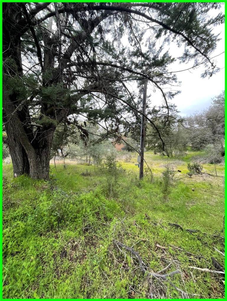 13672 Fair Oak Road - Photo 1