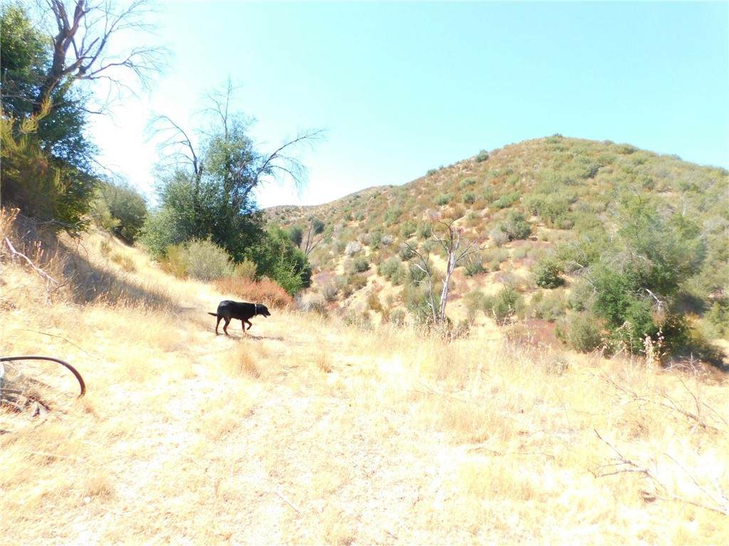 0 Stage Coach Rd Road - Photo 1