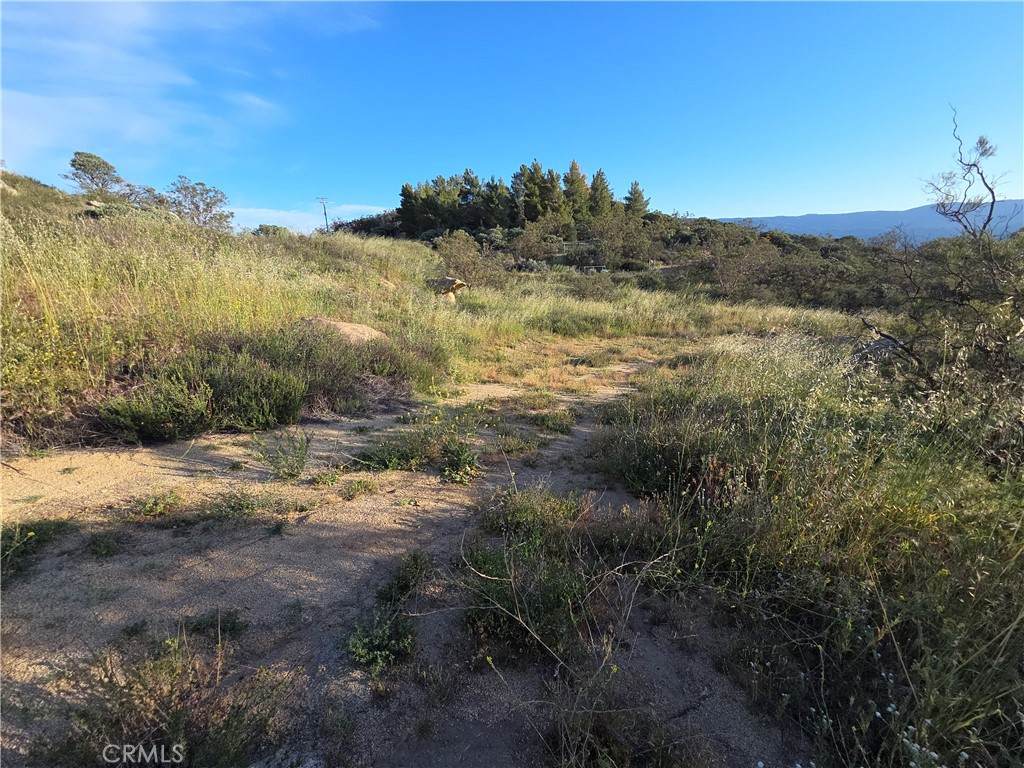 1007 Roan Way - Photo 1
