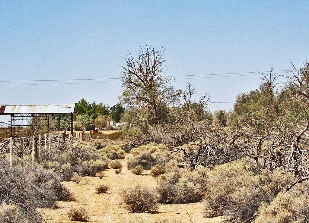 https://bt-photos.global.ssl.fastly.net/socal/orig_boomver_2_418785232-2.jpg