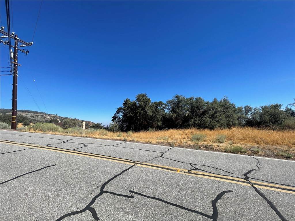 24680 Jacaranda - Photo 1