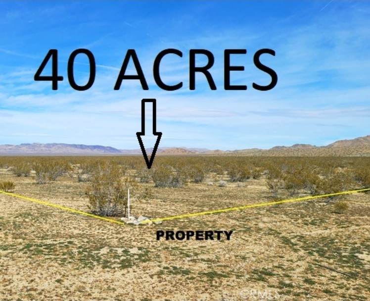 0 Highway 247/ Brack Road - Photo 1