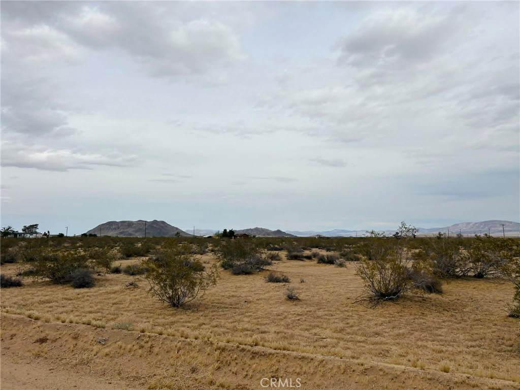 0 No Address - Photo 1