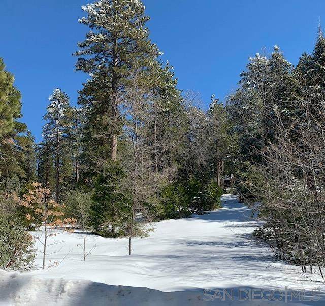 0 Laurel Trail - Photo 1