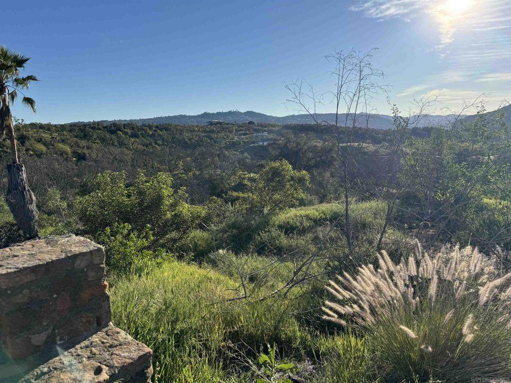 30421 Castle Crest - Photo 1