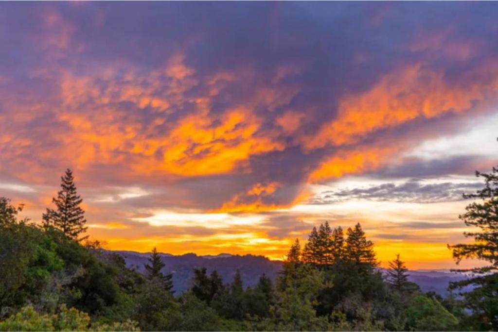 https://bt-photos.global.ssl.fastly.net/socal/orig_boomver_2_422262387-2.jpg