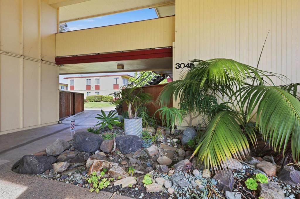 3045 Los Prados Street - Photo 1