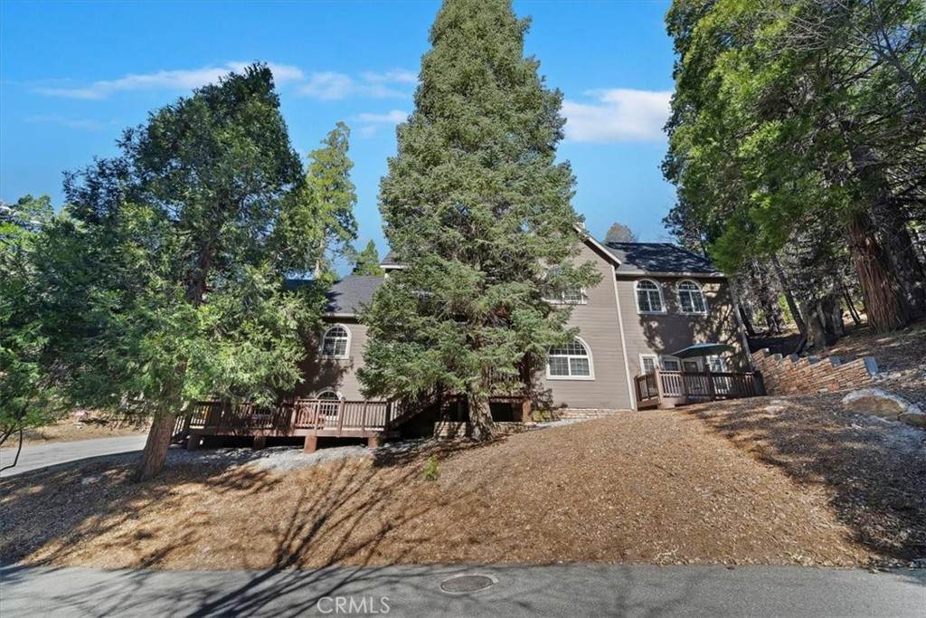 27312 Little Bear - Photo 1