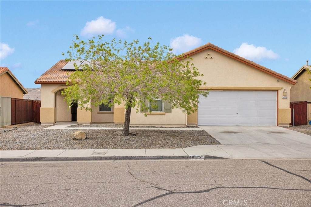 16572 Don Quijote - Photo 1