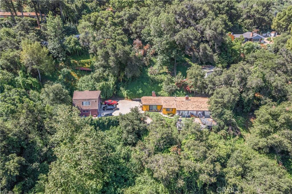 14773 Tamarix - Photo 1