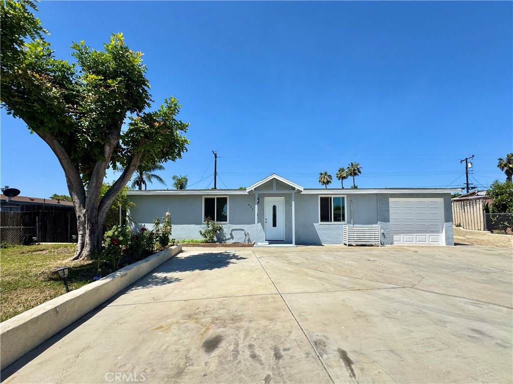 437 Begonia - Photo 1