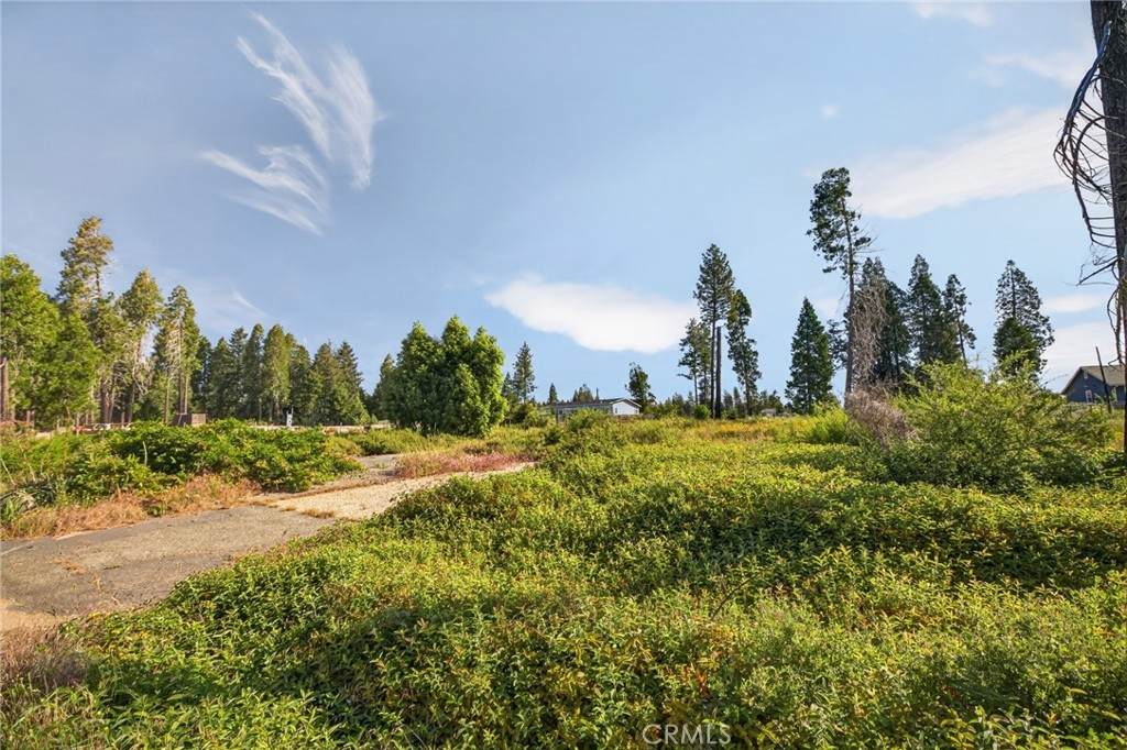 14116 Wingate - Photo 1