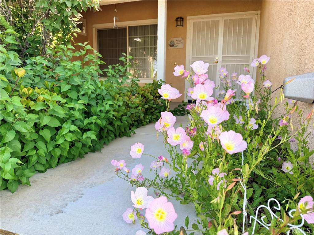 https://bt-photos.global.ssl.fastly.net/socal/orig_boomver_2_428832621-2.jpg