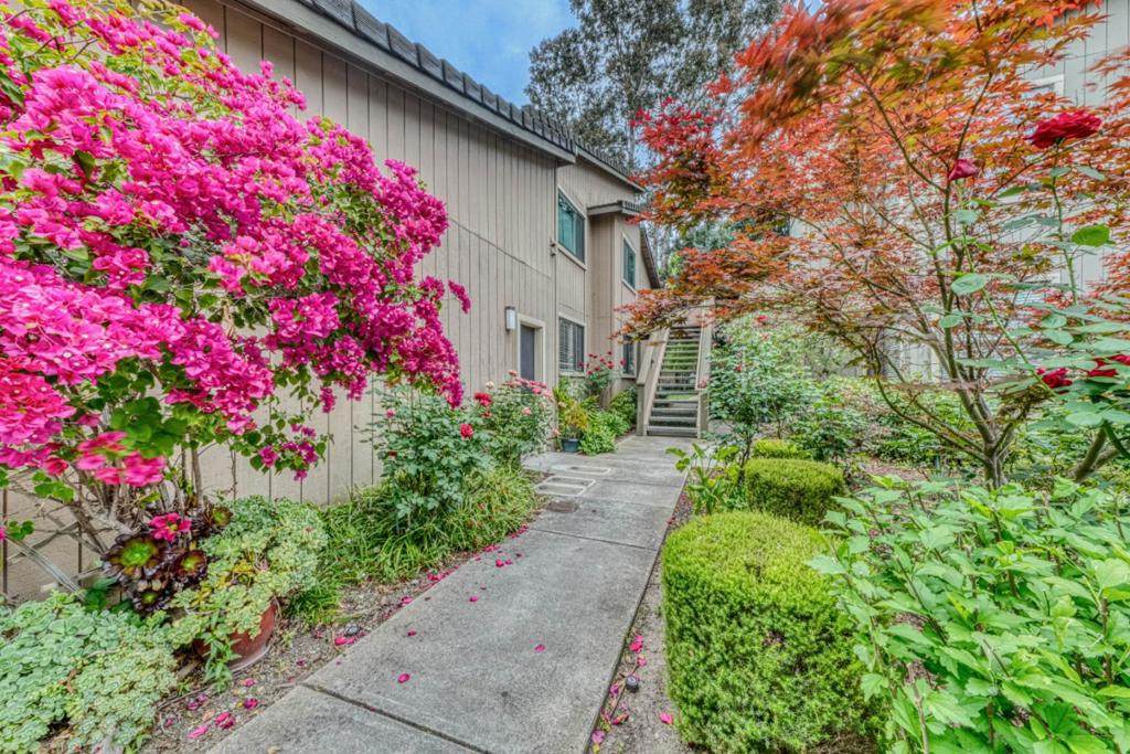 195 Del Monte Lane - Photo 1