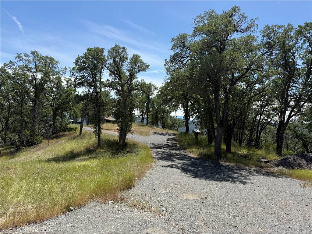 23495 Morgan Valley - Photo 1