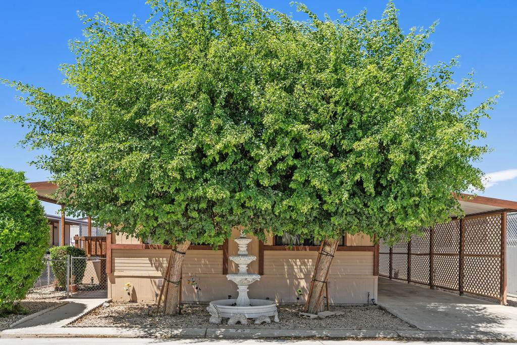 46618 Madison Street - Photo 1