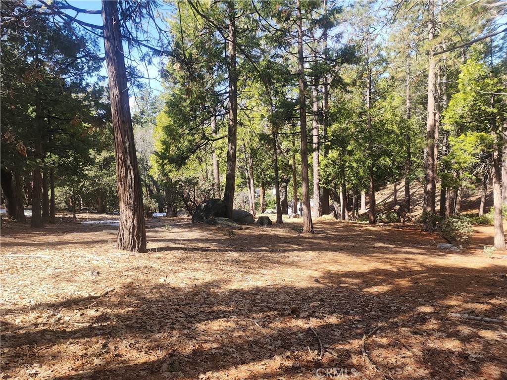 52547 Pine Cove - Photo 1
