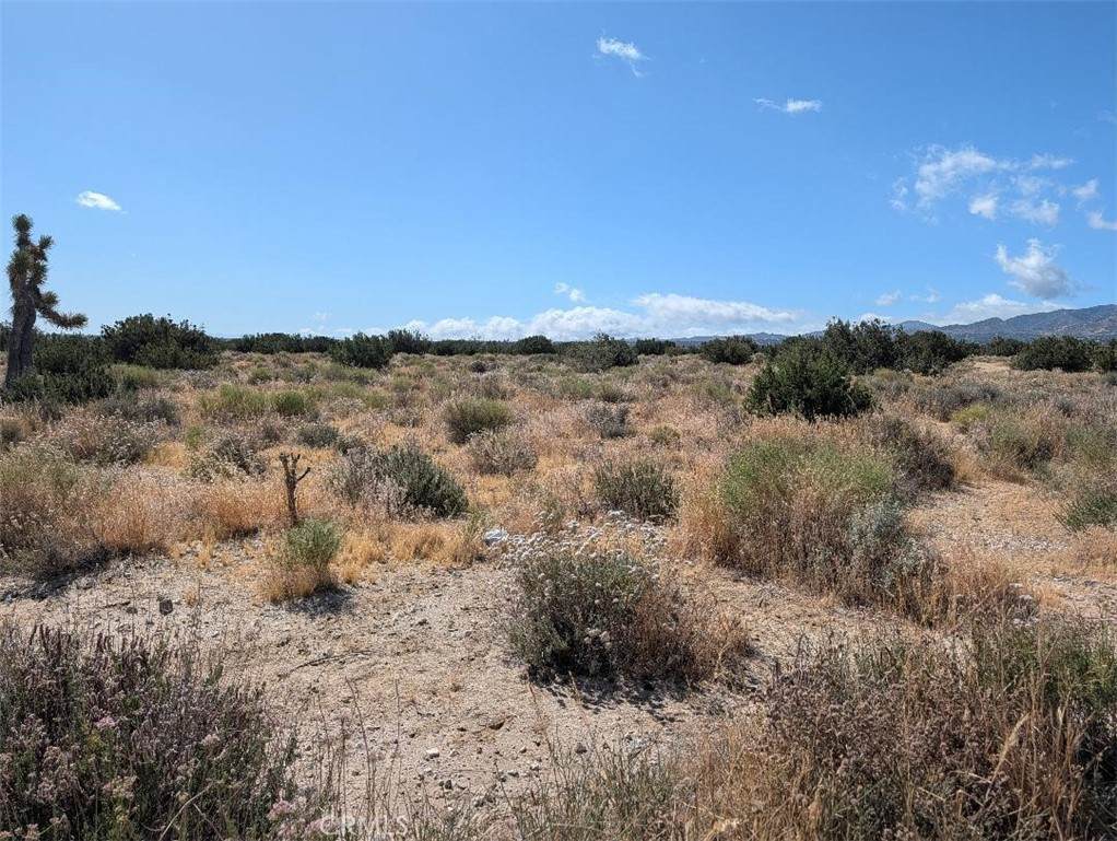 33 Antelope - Photo 1