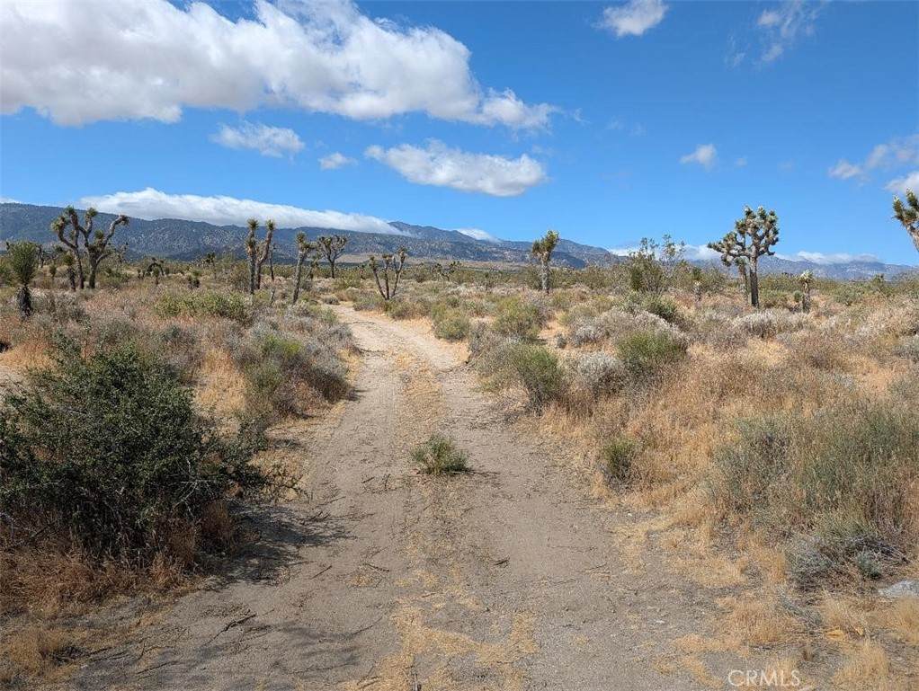 https://bt-photos.global.ssl.fastly.net/socal/orig_boomver_1_435645914-2.jpg