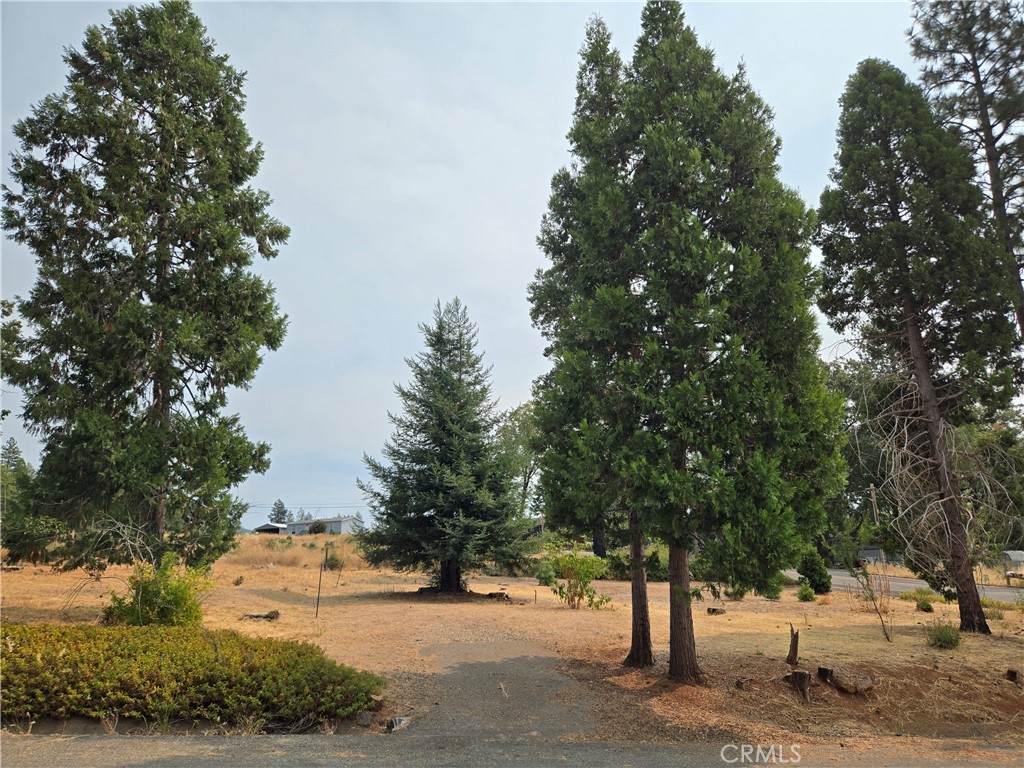 13549 Park - Photo 1