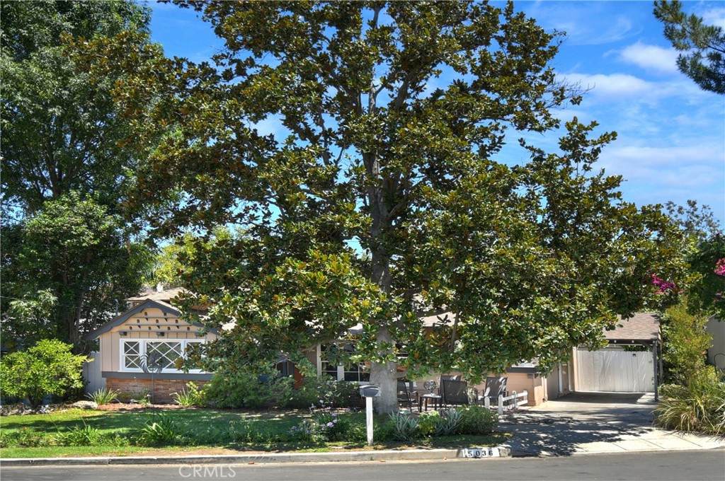 5036 Catalon - Photo 1