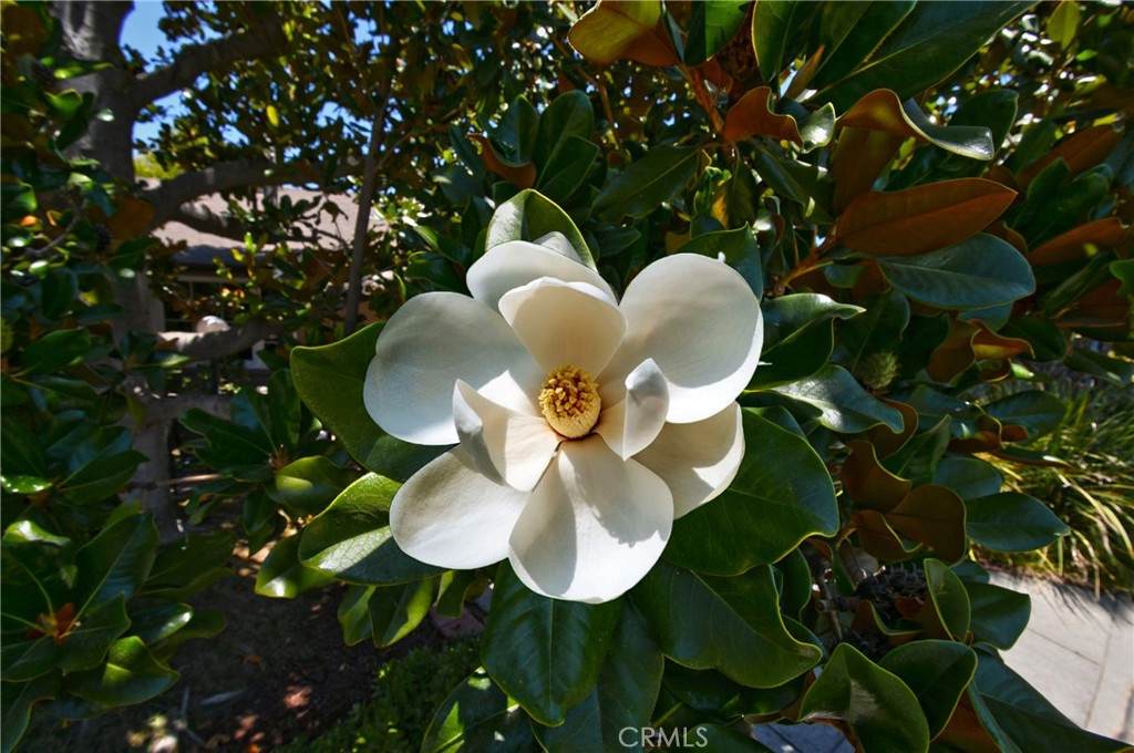 https://bt-photos.global.ssl.fastly.net/socal/orig_boomver_2_448490968-2.jpg