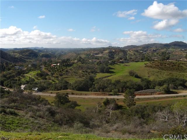 10236108 Rice Canyon Road - Photo 1