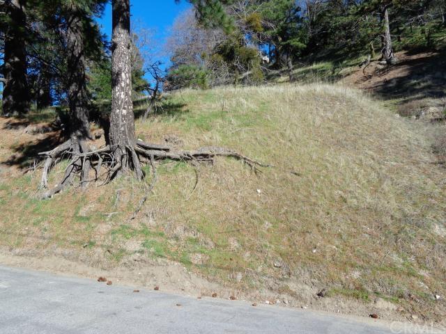 13 Fern Canyon Road - Photo 1