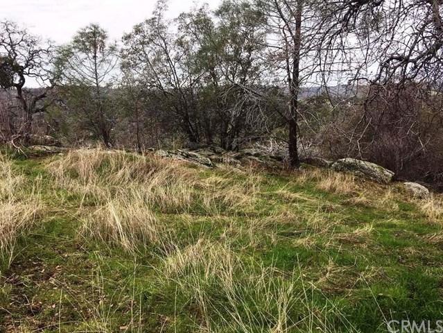 0-1.63 AC Seminole Drive - Photo 1