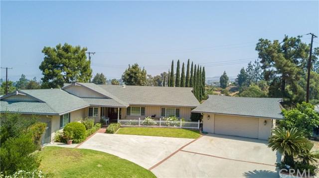 522 Torito Lane - Photo 1