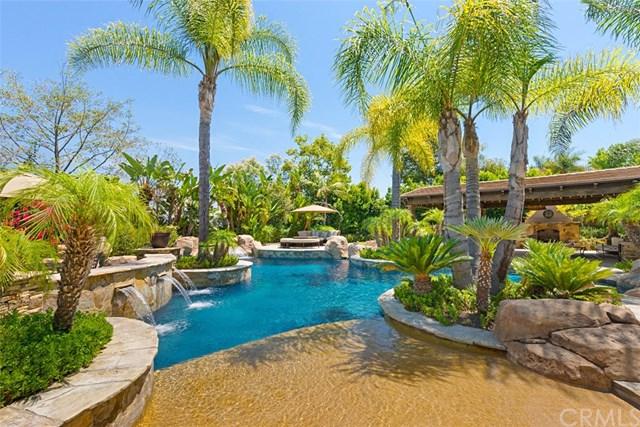 31052 Old San Juan Road - Photo 1