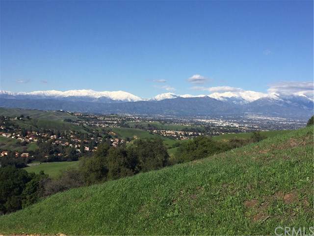 1 Old Carbon Canyon Rd. - Photo 1