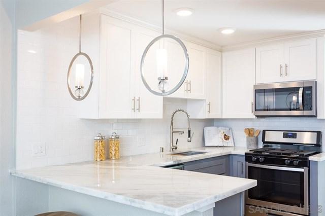 10571 Caminito Basswood - Photo 1