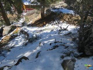 0 Cedar Dell Road - Photo 1
